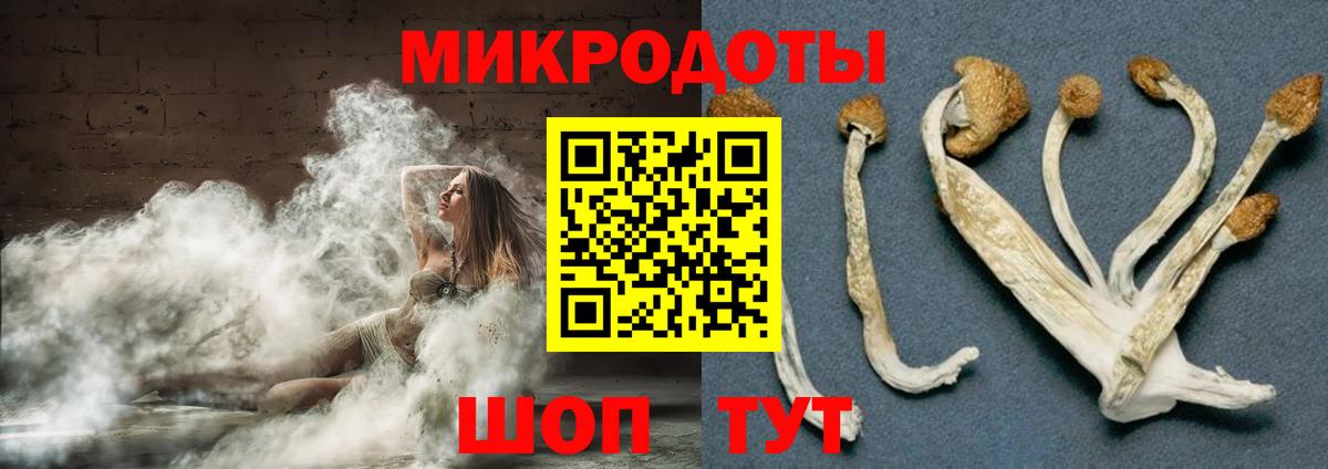 Ялуторовск  Галлюциногенные грибы Psilocybine cubensis  Вход с VPN 